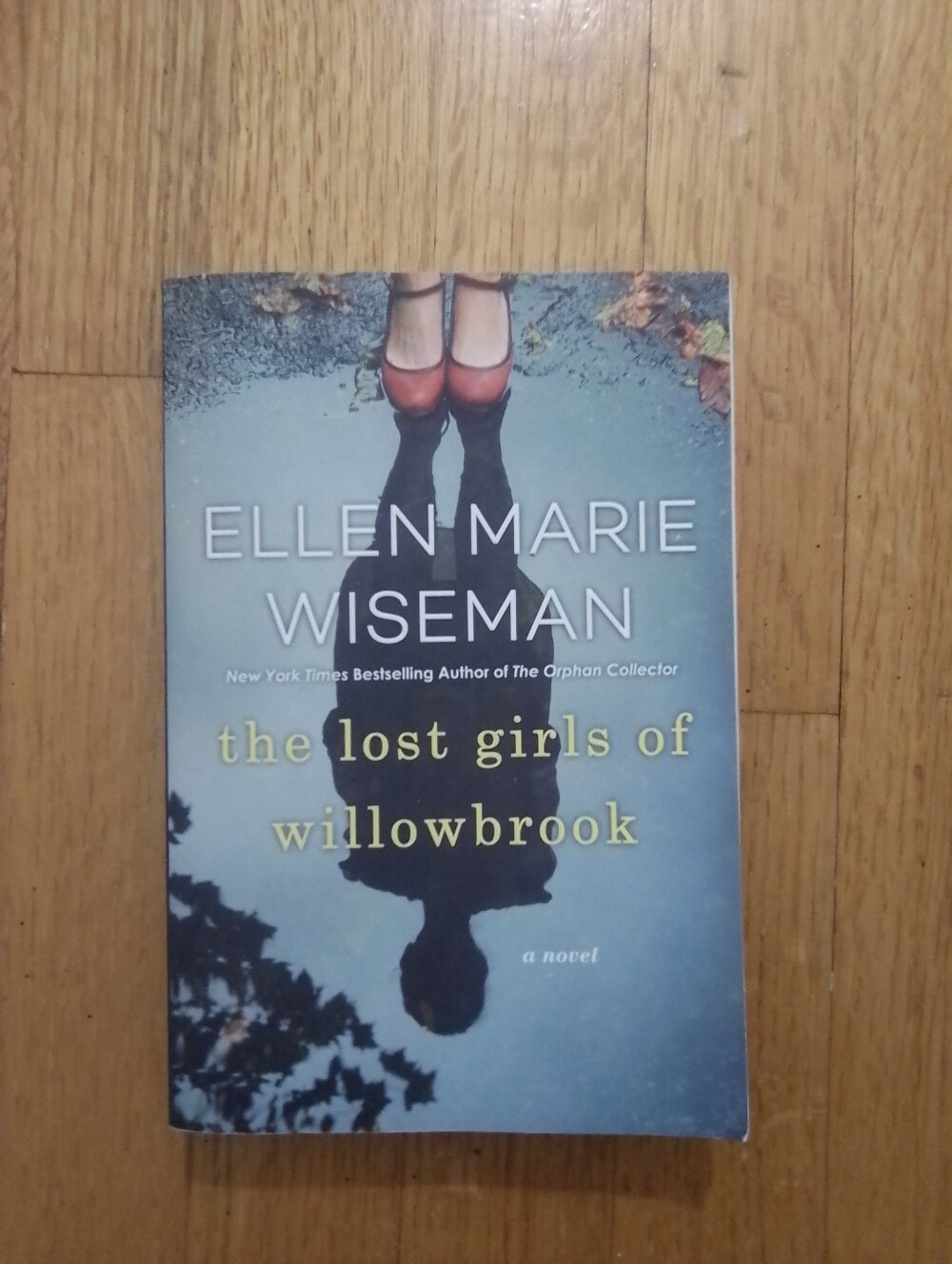 The Lost Girls of Willowbrook by Ellen Marie Wiseman - Paperback